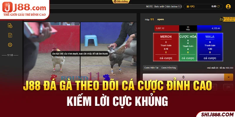 J88 Đá Gà Theo Dõi Cá Cược Đỉnh Cao Kiếm Lời Cực Khủng